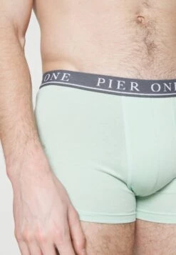 Pier One 5 PACK - Panties - Beige/light Green/black -Modegeschäft für Herren 56b1c715844d42658de4fa4e1d223916