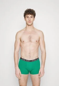 Pier One 5 PACK - Panties - Light Grey/black/green 10 Pier One 5 PACK - Panties - Light Grey/black/green -Modegeschäft für Herren 848816986ca24fbcb5e57aec8f8eb96c