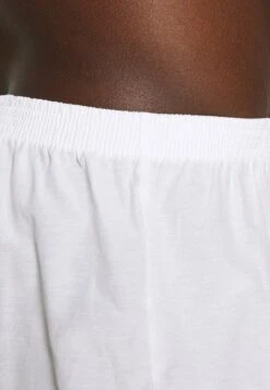 Pier One 5 PACK - Boxershorts - Light Blue/white 13 Pier One 5 PACK - Boxershorts - Light Blue/white -Modegeschäft für Herren 8e2664e226c041628a342c1ad591e54d